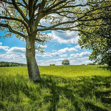 Dom wakacyjny Historic In Secluded Nature