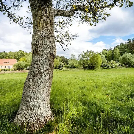 Historic In Secluded Nature Altglobsow