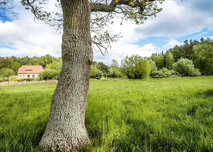 Historic In Secluded Nature Feriehus